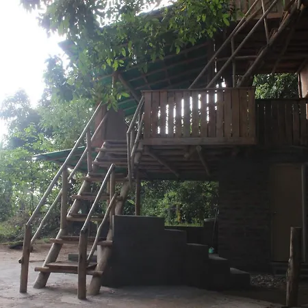 Forest Tree Top Holiday Resort Buttala Exterior photo
