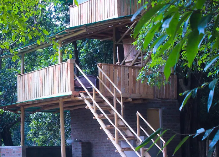 Forest Tree Top Holiday Resort