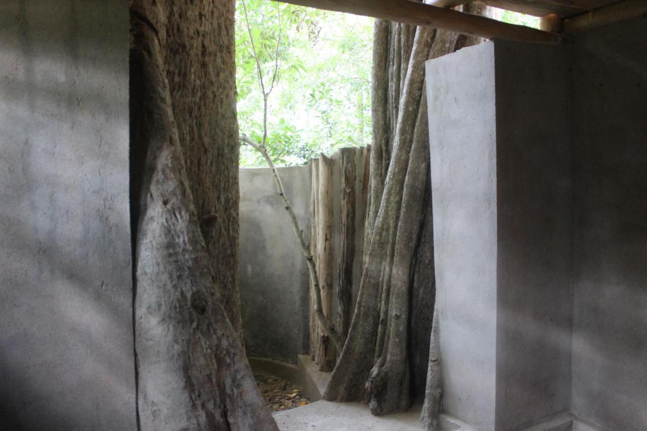 Forest Tree * Buttala