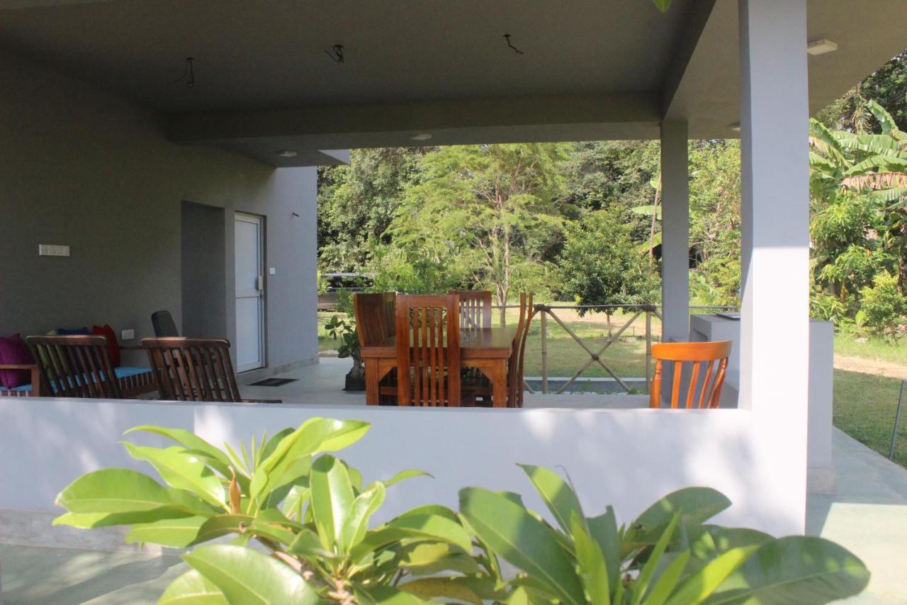 Forest Tree Homestay