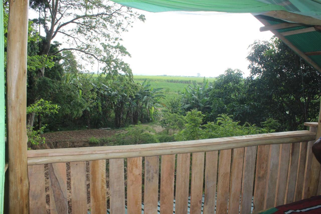 Homestay Forest Tree