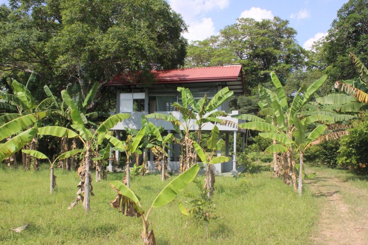 Homestay Forest Tree *