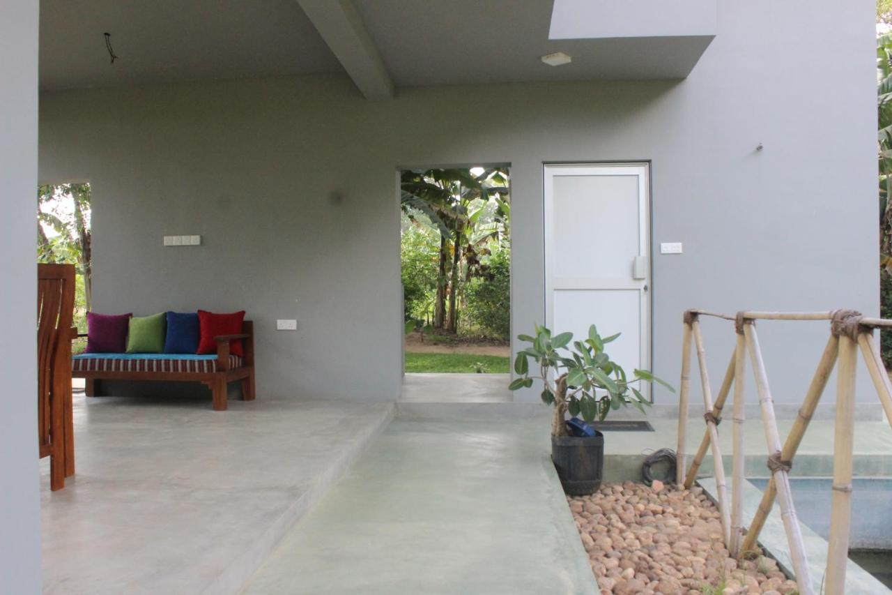 Homestay Forest Tree