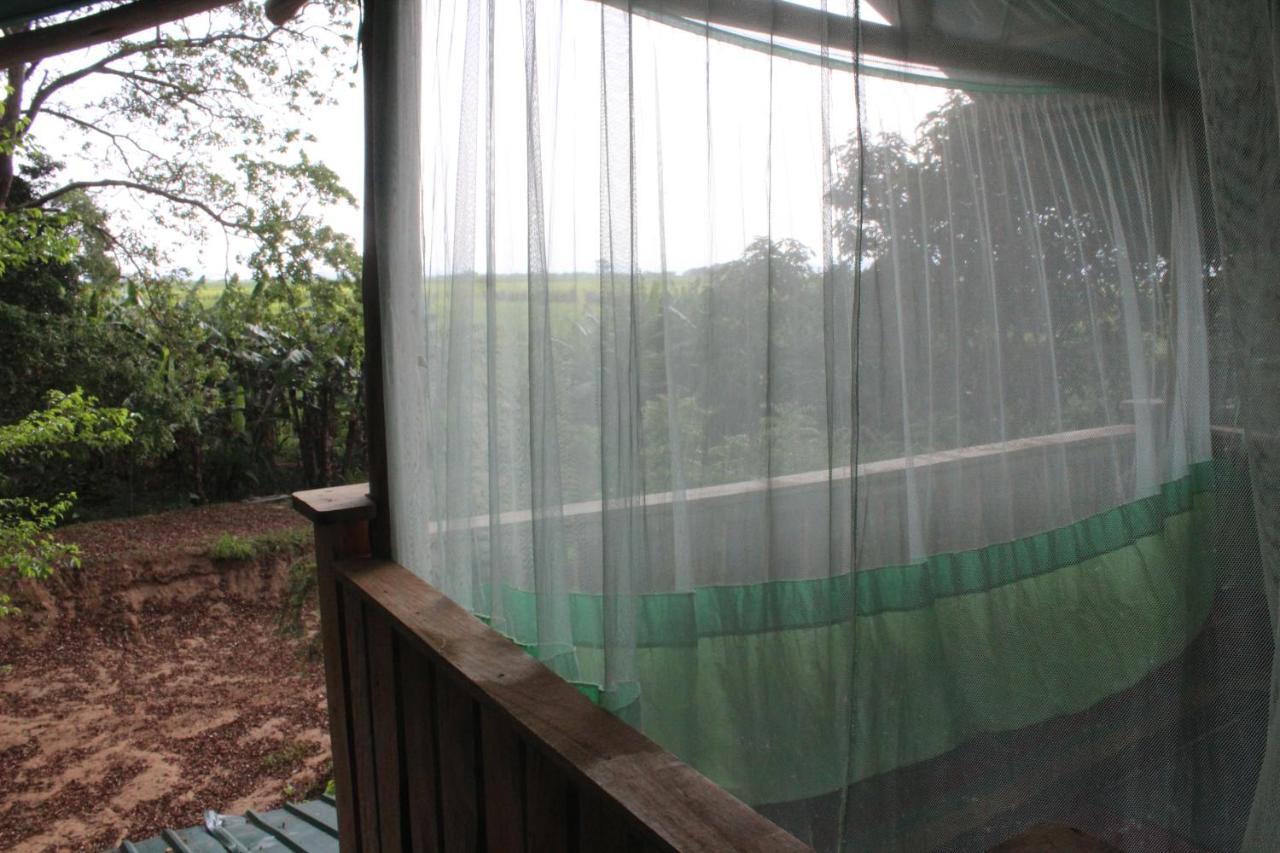 Homestay Forest Tree *