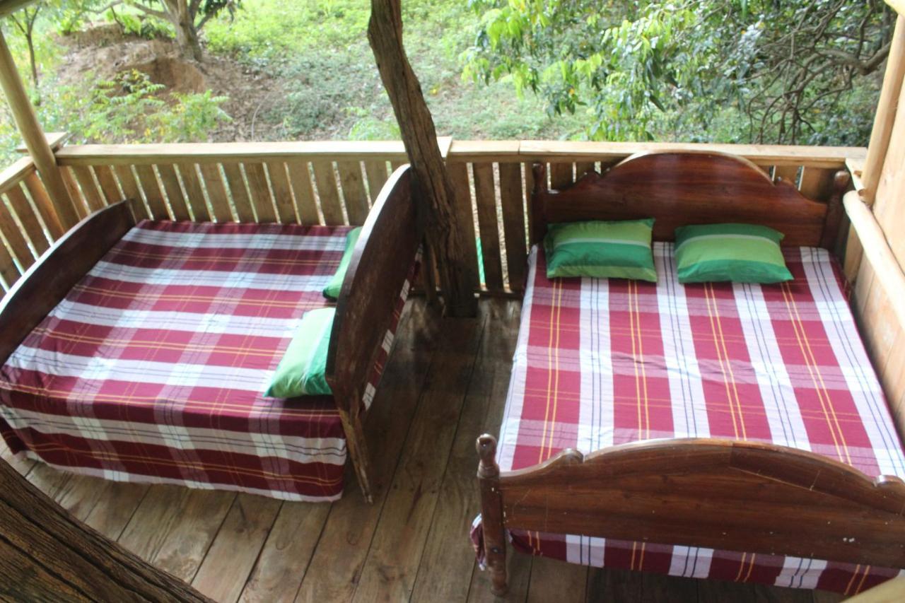 Homestay Forest Tree Buttala