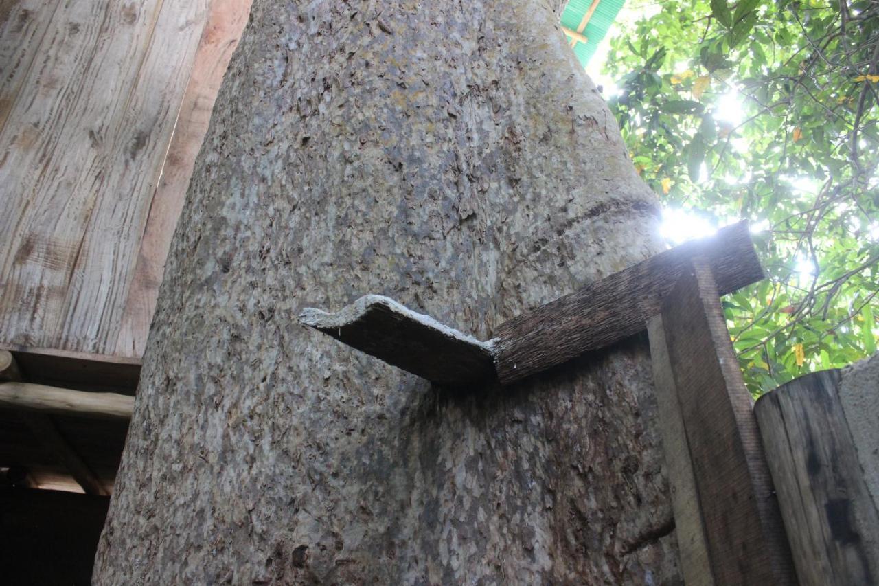 Homestay Forest Tree
