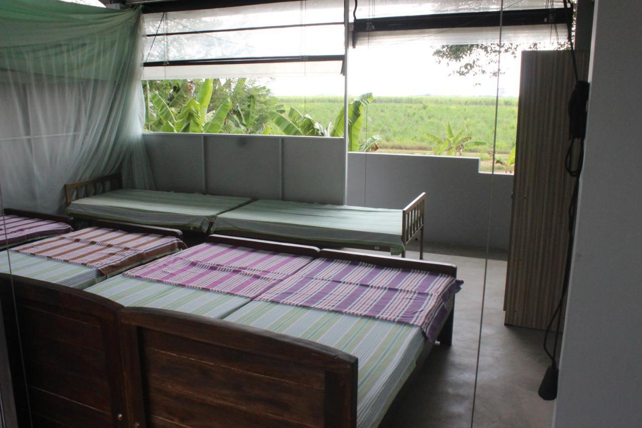 Homestay Forest Tree