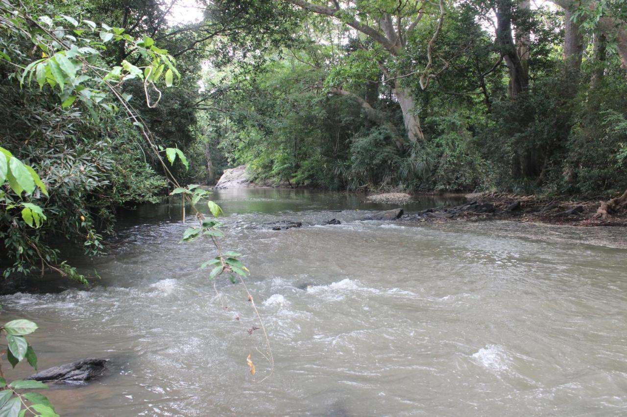 Homestay Forest Tree Buttala