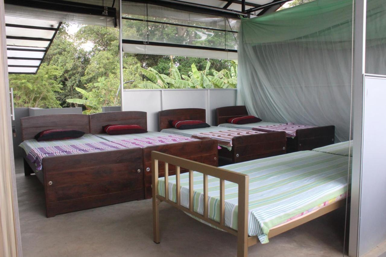 Forest Tree Homestay *