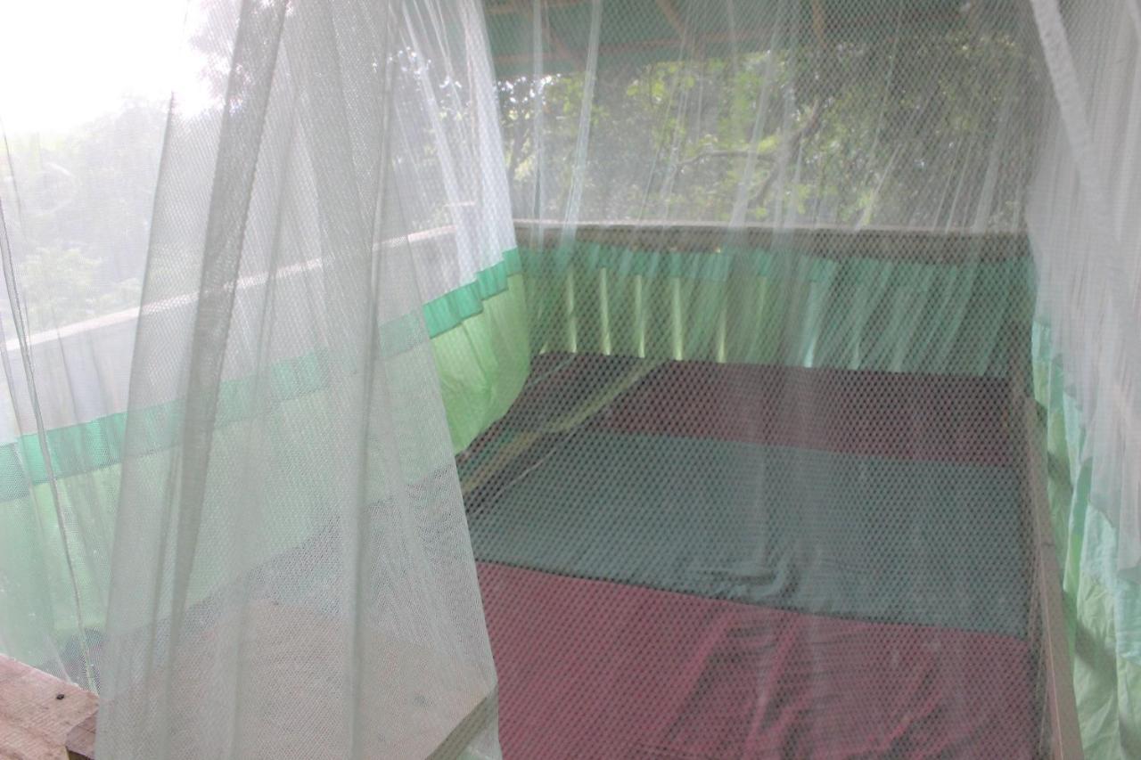Homestay Forest Tree Buttala