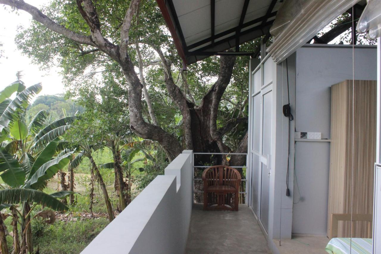 Forest Tree Homestay Buttala