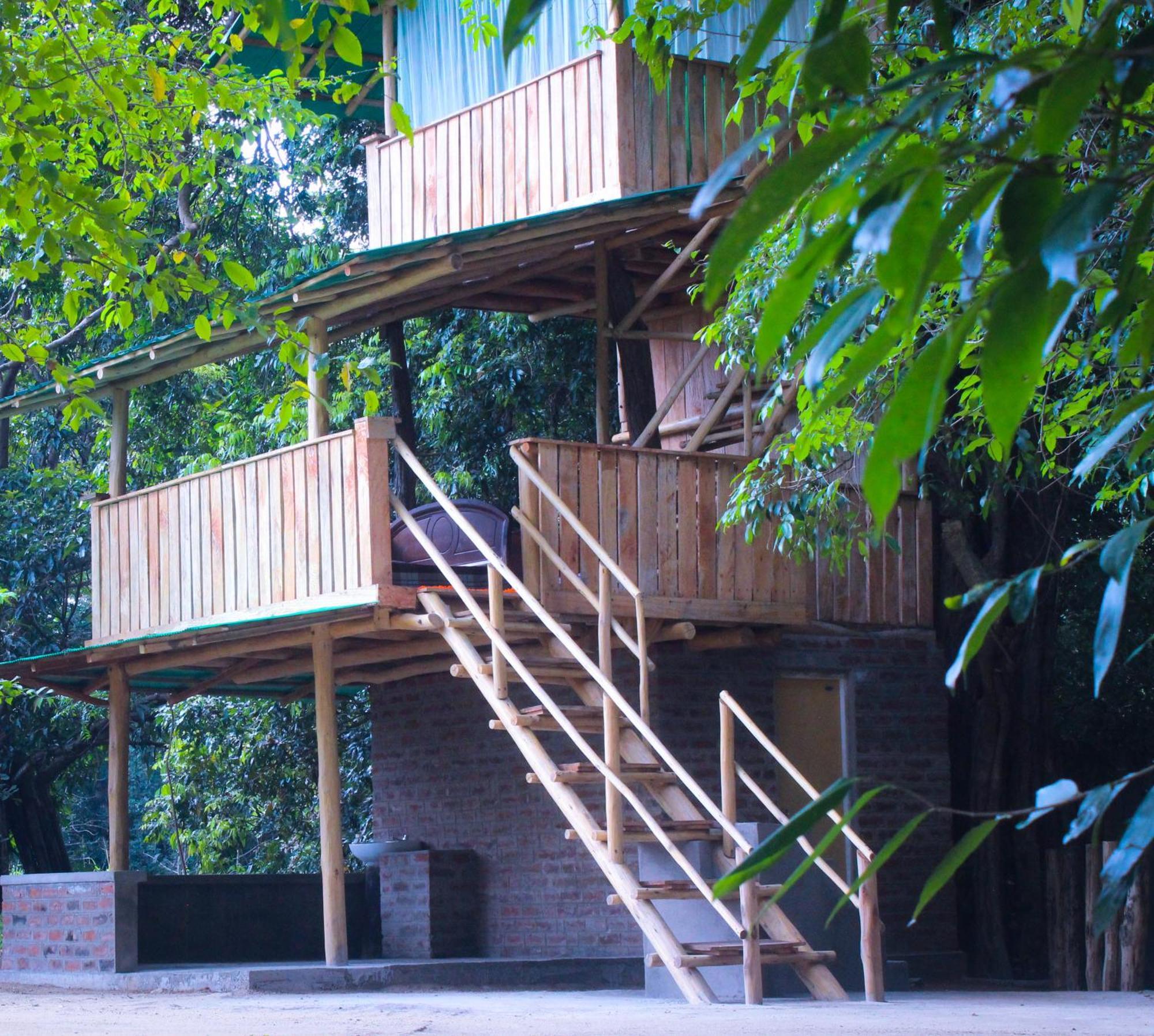 Homestay Forest Tree